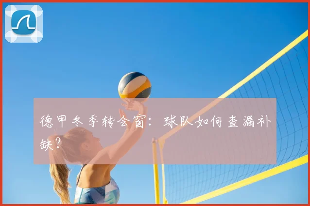 德甲冬季转会窗：球队如何查漏补缺？