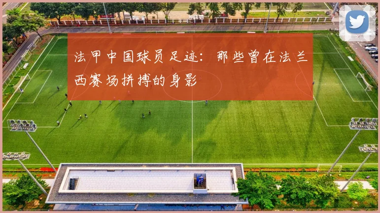 法甲中国球员足迹:那些曾在法兰西赛场拼搏的身影