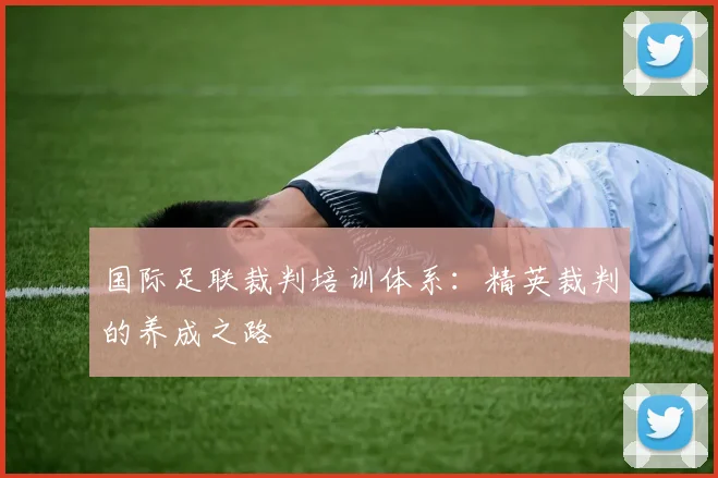 国际足联裁判培训体系：精英裁判的养成之路